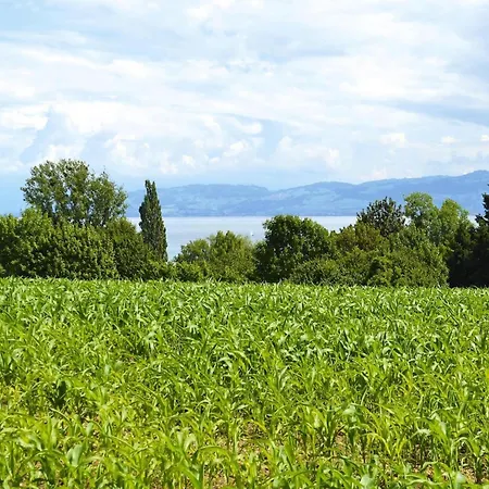 By Constance With Alpine Views, Cleaning Included * 博登斯边的伊门施塔特